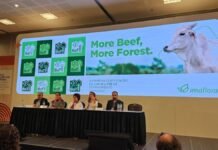 Demandas globais por proteína e sustentabilidade impulsionam criação de 1º selo de carne livre de desmatamento