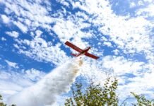Estratégia de uso de aeronaves no combate a incêndios florestais em MT é apresentada em simpósio internacional