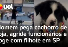 Veja Vídeo – Homem rouba filhote de cachorro de petshop em São Paulo e sai correndo; veja