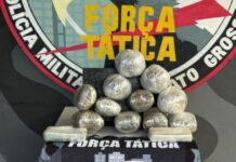 Criminoso é preso com 8 kg de drogas na bagagem em ônibus