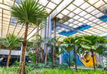 Governo de MT fortalece microcervejarias e reduz ICMS na cadeia do pão francês