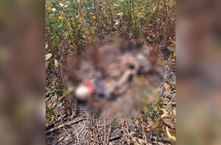 Trabalhadores rurais acham ossada masculina em lavoura