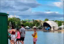 Jacaré Celso tem parque como ‘lar’ e prefeitura alerta população para cuidados