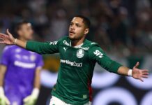 Palmeiras derrota Fluminense e mantém liderança do Brasileiro
