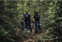 Ossada humana é encontrada em área de mata no interior