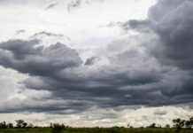 100 cidades de MT têm alerta de temporais esta semana