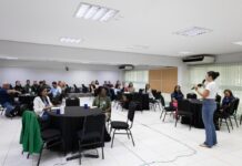 Sema promove oficina para fortalecer ações de prevenção ao atropelamento de animais