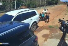 Veja Vídeo – Bobeou é vapo! Cachorro rouba marmita de homem e sai correndo; veja