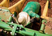 Mato Grosso abre 2026 com saldo de 18,7 mil novos empregos com carteira assinada em janeiro