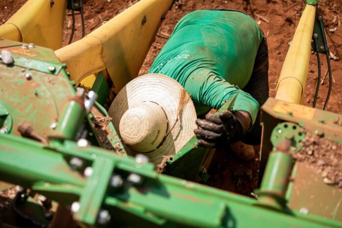 51369786828_c03b989b5c_o