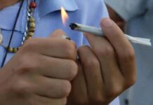 MT é o terceiro maior consumidor de maconha entre jovens do país