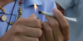 MT é o terceiro maior consumidor de maconha entre jovens do país
