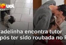 Veja Vídeo – Cadelinha reencontra tutor após sumir e ter sido roubada no Rio Grande do Sul; veja