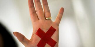 Ano eleitoral impulsiona avalanche de projetos sobre mulheres em MT e acende alerta