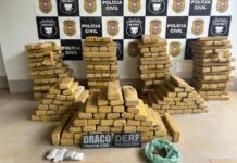 Polícia acha 305 tabletes de maconha enterrados em casa de MT