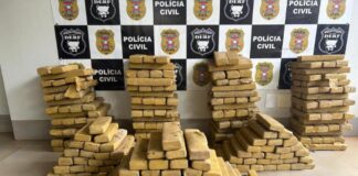 Polícia acha 305 tabletes de maconha enterrados em casa de MT