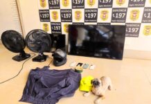 Polícia Civil prende suspeito que invadiu casa e furtou eletrônicos, carro e cachorro
