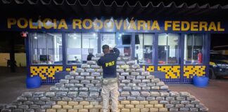 PRF apreende cerca de meia tonelada de skunk em fundo falso de caminhão em MT