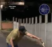 Veja Vídeo – Homem é picado por cascavel ao tentar tirar cobra de rua com blusa; veja