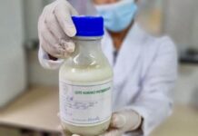 Bancos de Leite Humano atendem 396 bebês prematuros em MT e têm aumento de doadoras