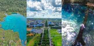 Três municípios turísticos de MT ficam de fora da FIT Pantanal