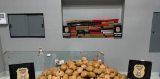 Polícia Civil apreende mais de 150 quilos de maconha em casa em bairro de Cuiabá