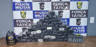 Traficante é preso com 66 kg de maconha escondidos debaixo da cama em quitinete