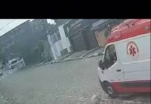Veja Vídeo – Motorista do Samu é perseguido após atropelar cão em São Paulo; veja