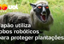 Veja Vídeo – Humanoides no boxe, mecha de titânio e lobos robôs: a tecnologia testa os limites