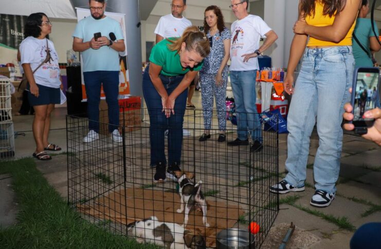 Várzea Grande avança na política de proteção animal e prepara programa permanente de castração e microchipagem