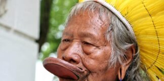 Cacique Raoni tem alta após um mês de internação por pneumonia e obstrução intestinal