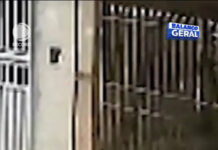 Veja Vídeo – Irmãos de 13 e 16 anos ficam feridos após ataque de pitbull em São Paulo; veja