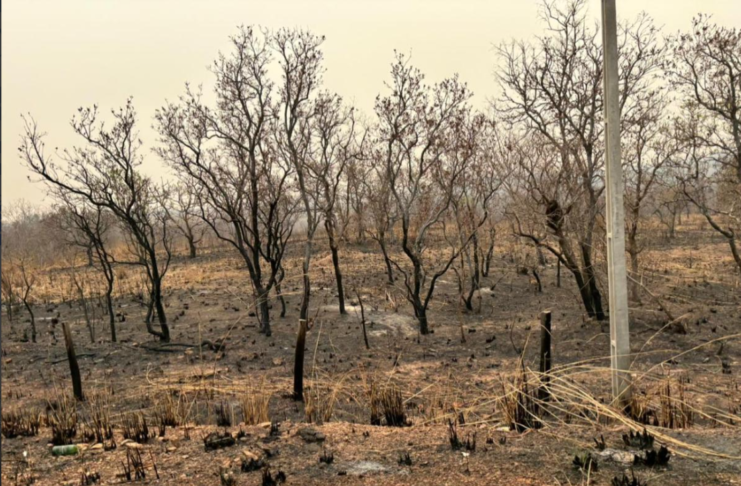 Corpo de Bombeiros combate 10 incêndios neste domingo e mantém outros dois sob controle