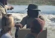 Veja Vídeo – Hipopótamo é filmado perseguindo barco com turistas em rio de Botsuana na África