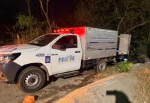 Funcionário bêbado pega moto de fazenda, bate contra cerca e morre