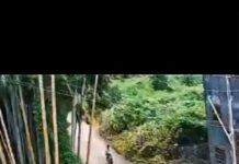 Veja Vídeo – Viralizou: menino perde controle da bike, desce ladeira e desfecho surpreende