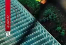 Veja Vídeo – Advogado preso em operação em SP é suspeito de jogar notebook pela janela; veja
