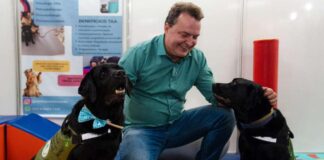 Max propõe criação de censo para mapear população de cães e gatos em MT