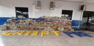 Polícias de MT apreendem 1 tonelada de drogas; valor estimado de R$ 8,6 milhões
