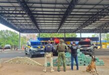 Trio é preso com meia tonelada de cocaína em caminhão na BR-364