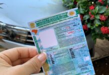 Detran-MT orienta sobre golpes com falsas vagas da CNH Social
