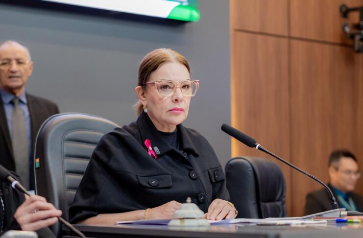 Paula Calil suspende tramitação de LOA até que Abílio envie nova versão de LDO
