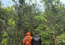 Corpo é encontrado em cova rasa em área rural de MT